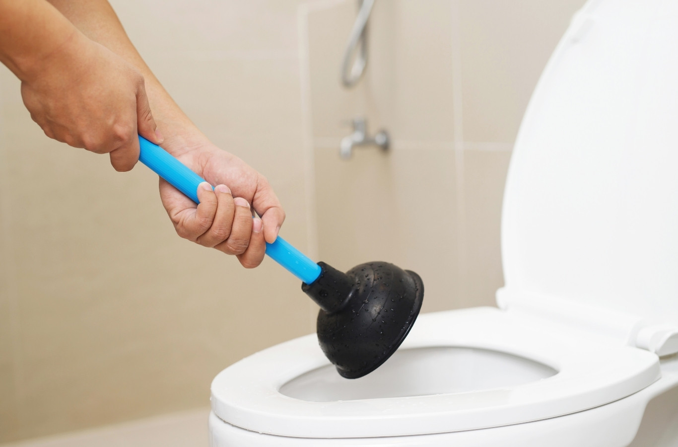 Blue plunger pressed into a clogged toilet, the kind of household clog Starling Plumbing clears in Seymour, TN homes