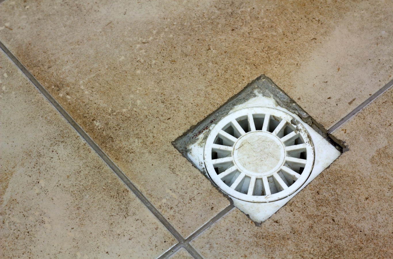 Floor drain grate set in a tiled floor, a common source of sewer odors Starling Plumbing checks in Talbott, TN homes