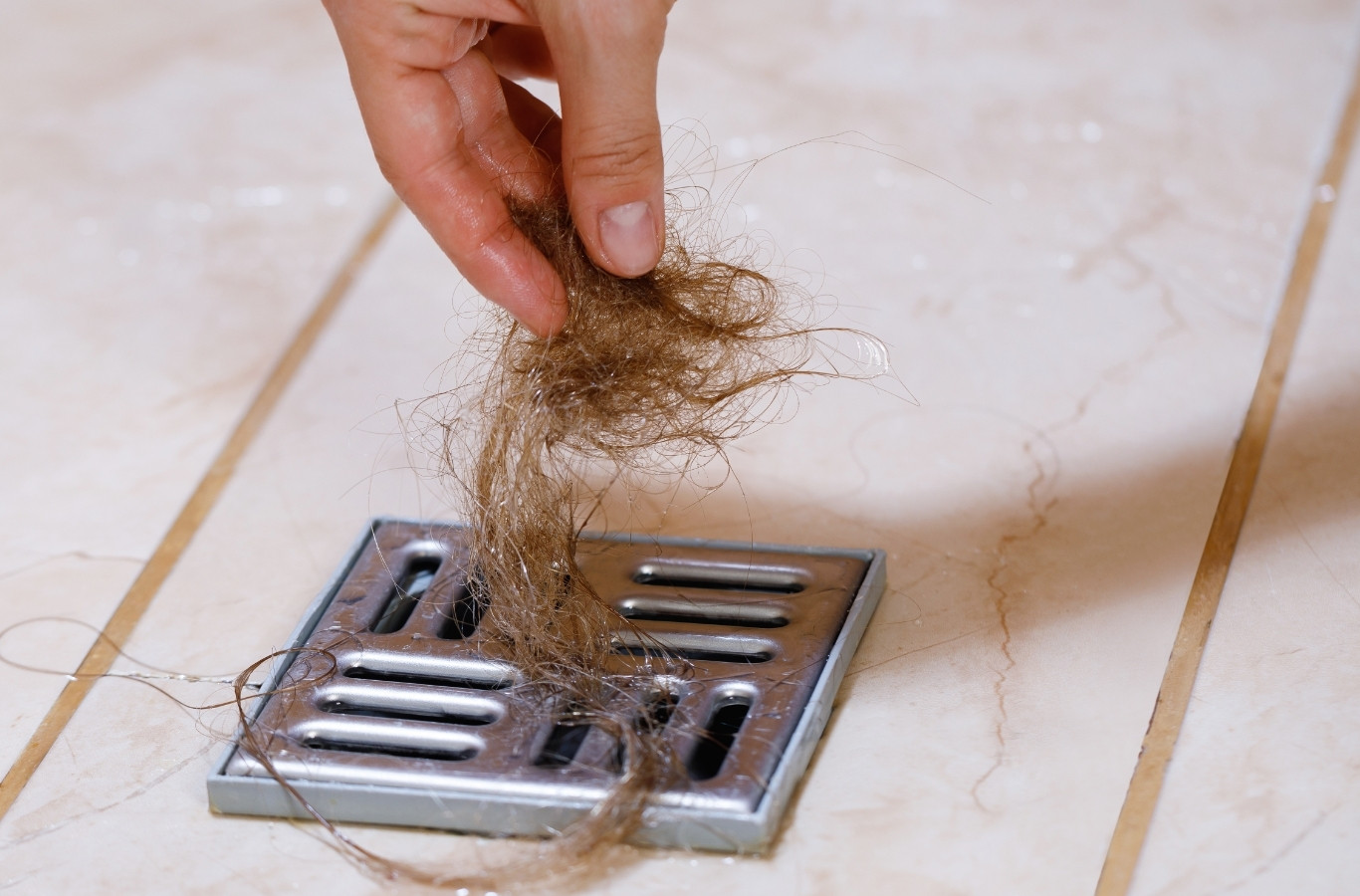 Hair pulled from a shower drain, a fix Starling Plumbing makes in Sevierville, TN. Drain & Sewer Services Near Me.